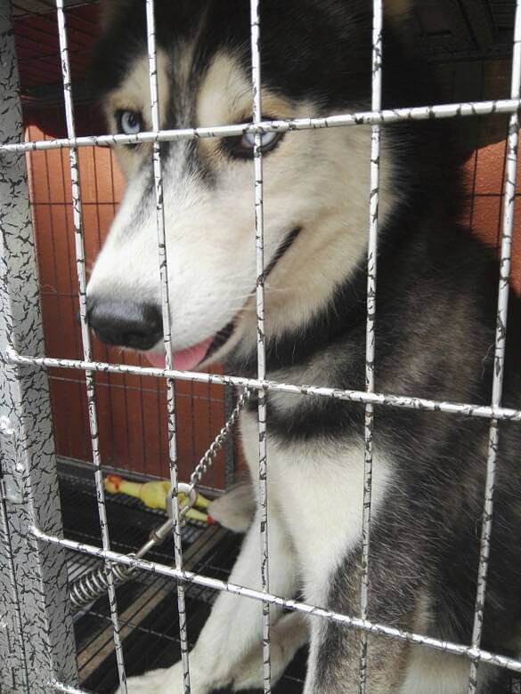 ��ë���������󷽷�