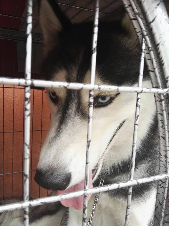 ��ë���������󷽷�