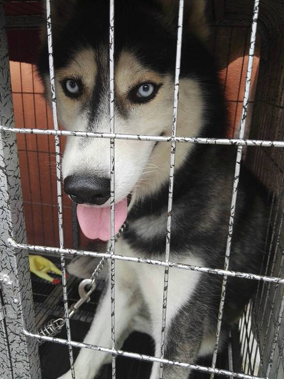 ��ë���������󷽷�