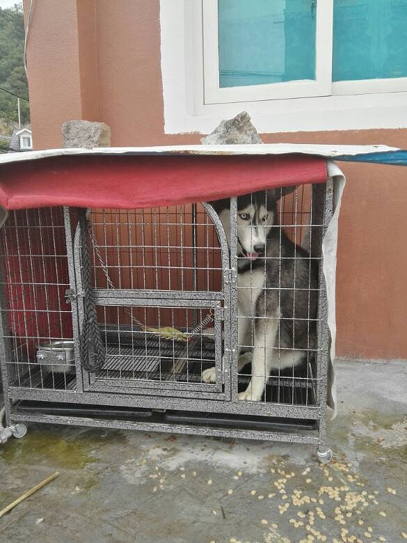 ��ë���������󷽷�