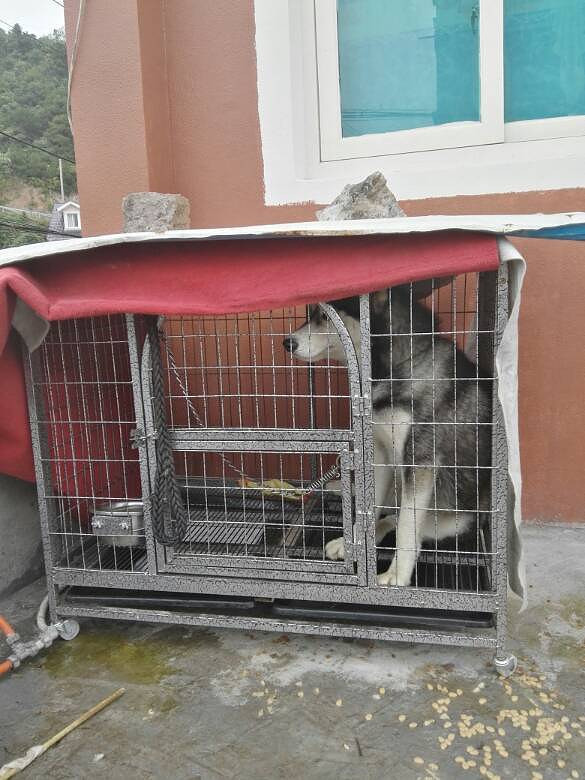 ��ë���������󷽷�