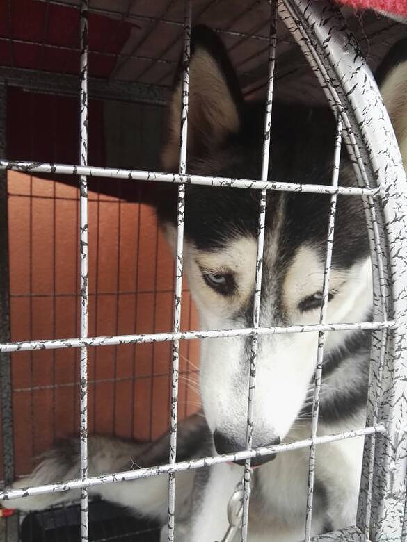 ��ë���������󷽷�