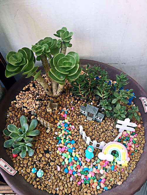 ���ͻ������ɣ���Ҫ̫�ۺ�Ŷ