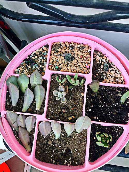 ���ͻ������ɣ���Ҫ̫�ۺ�Ŷ