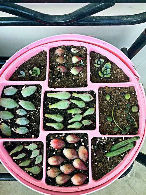 ���ͻ������ɣ���Ҫ̫�ۺ�Ŷ