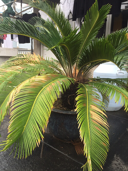 ��Ʊ� ��̨�ϵ�