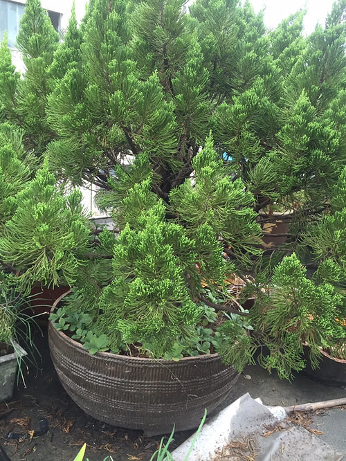 ��Ʊ� ��̨�ϵ�