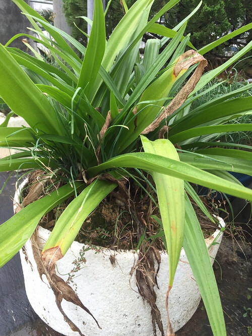 ��Ʊ� ��̨�ϵ�