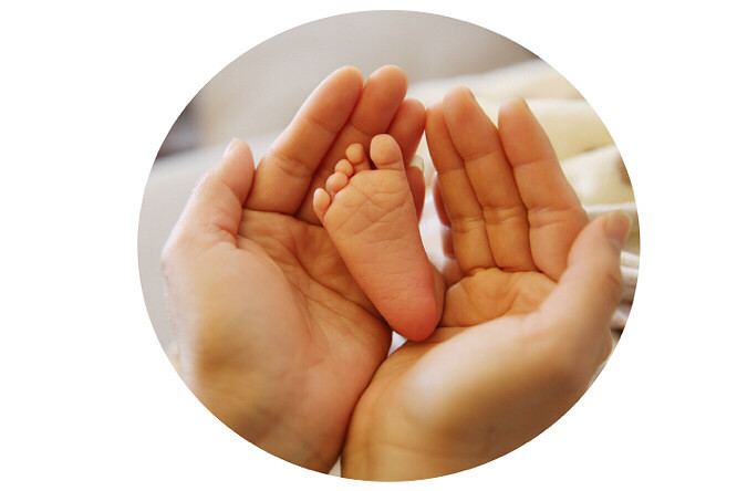 ��������̥�����ļ�