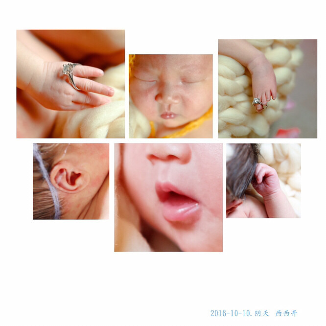 ��������̥�����ļ�