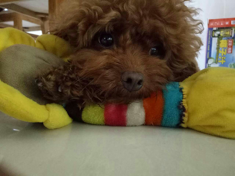 ��λ���ѣ�����ı������Ե�ɶ���������Ƽ���������ģ�