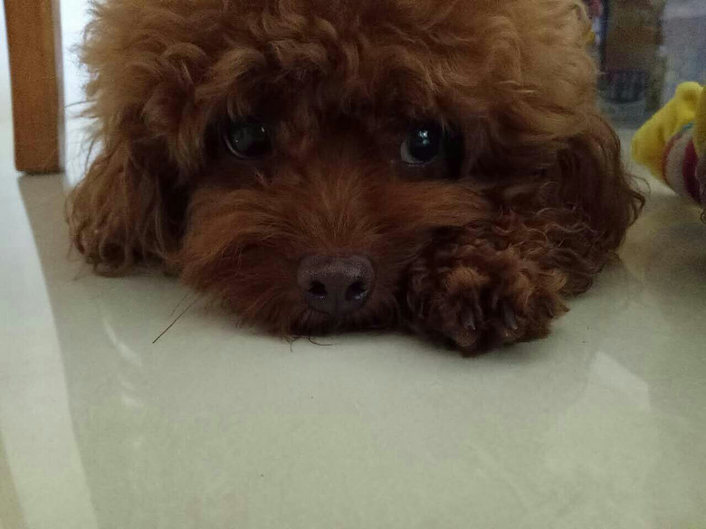 ��λ���ѣ�����ı������Ե�ɶ���������Ƽ���������ģ�