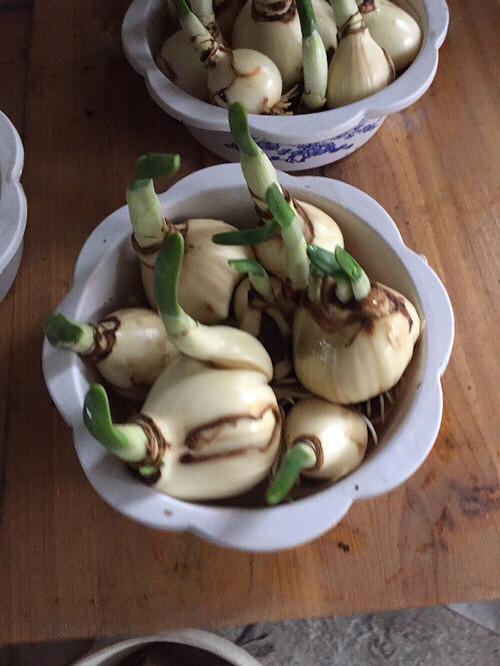 ��ˮ�ɻ���