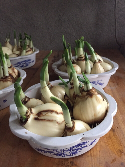 ��ˮ�ɻ���