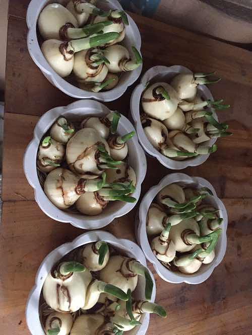 ��ˮ�ɻ���