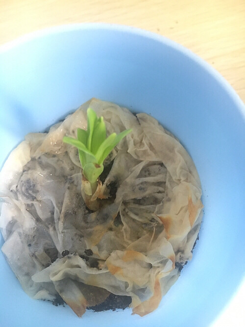 ʲô������