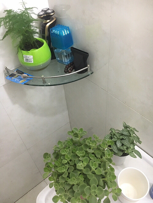 ʲô������