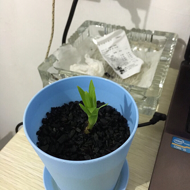 ʲô������