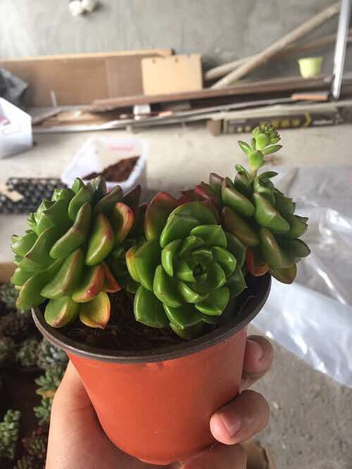 ��������