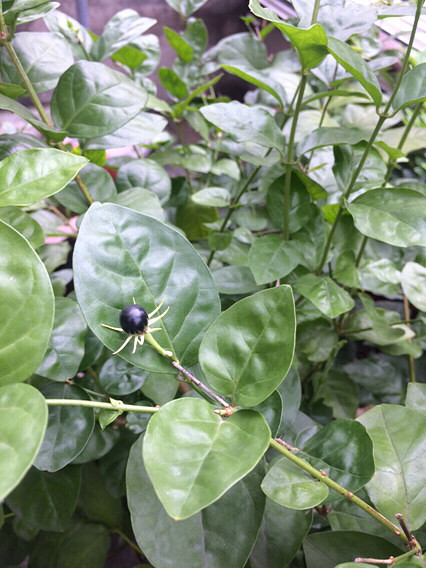 �Ҽҵ������ڹ����ˣ�