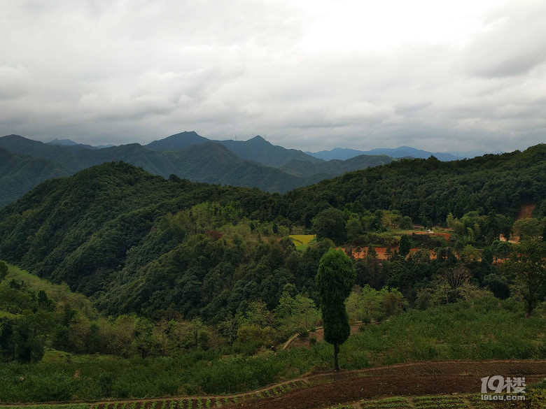 汇溪镇仙人桥留山村随摄