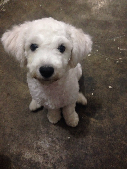 ���ܱ���