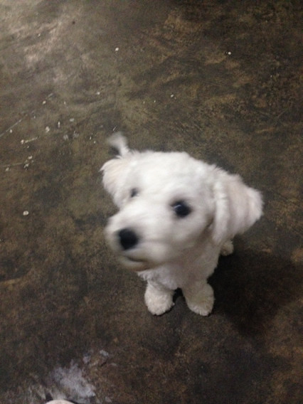 ���ܱ���