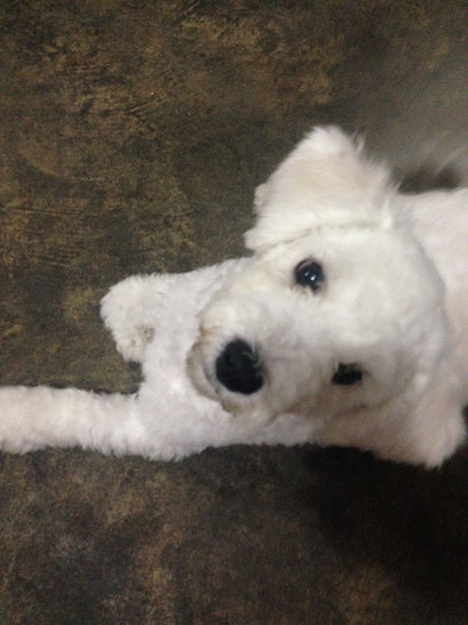 ���ܱ���