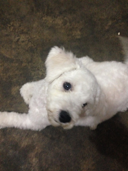 ���ܱ���