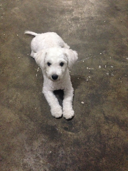 ���ܱ���