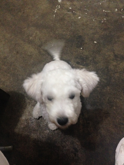 ���ܱ���