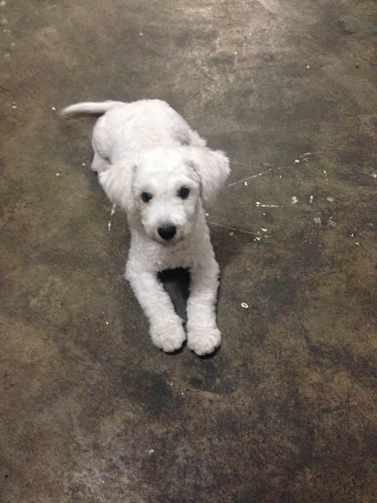 ���ܱ���