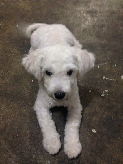 ���ܱ���