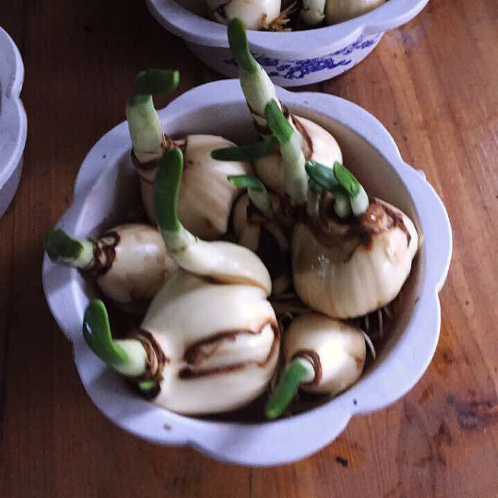 ˮ�ɣ�˭ϲ��