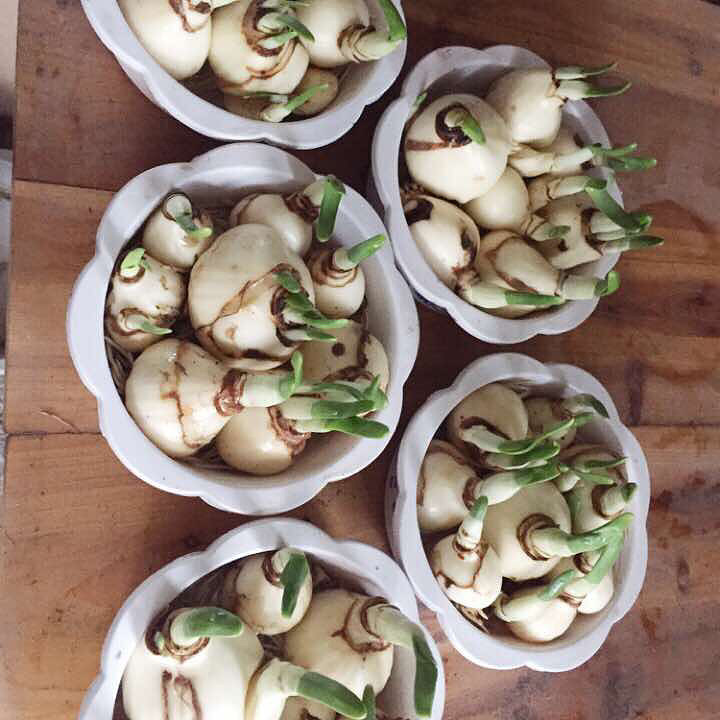 ˮ�ɣ�˭ϲ��