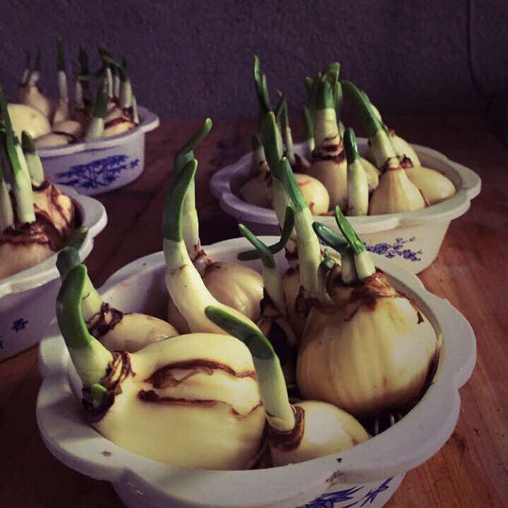 ˮ�ɣ�˭ϲ��