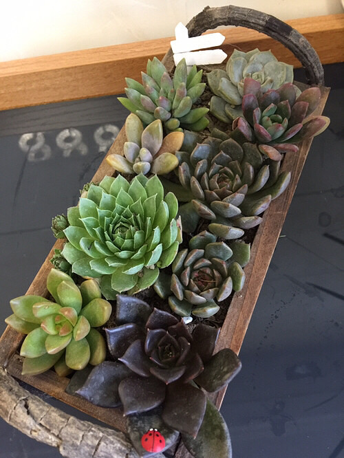 ����