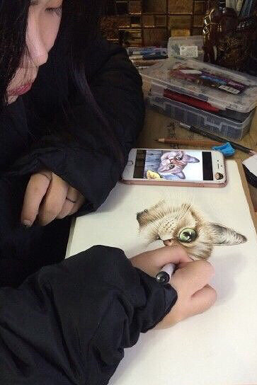 ���ҵ��ú����ܡ�+�������ҷ��ӵ�ʱ����