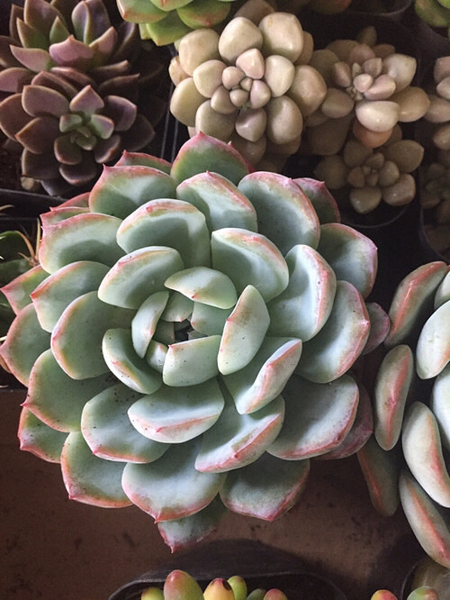 ���⣬��ϲ����û