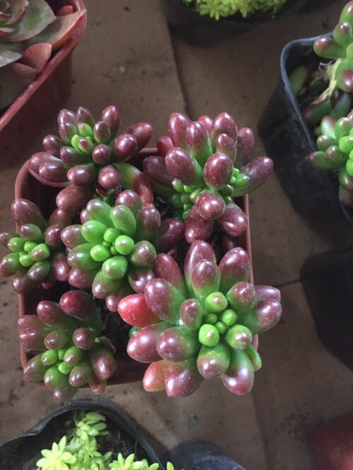 ���⣬��ϲ����û