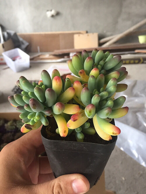 ���⣬��ϲ����û