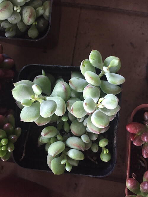 ���⣬��ϲ����û