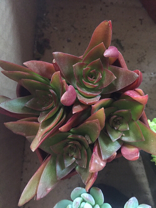 ���⣬��ϲ����û