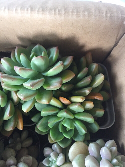 ���⣬��ϲ����û