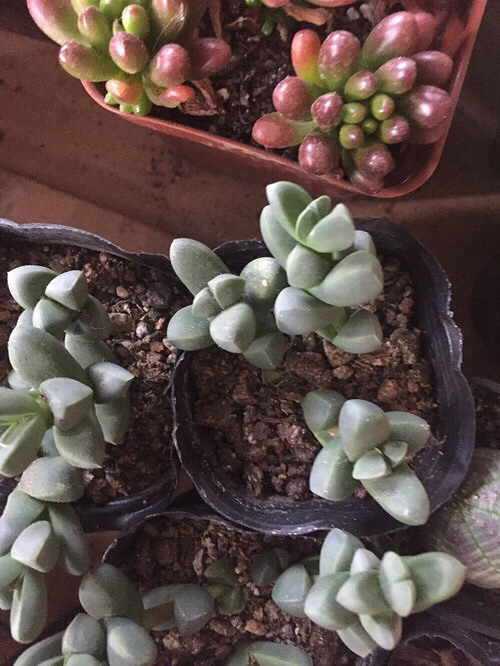 ���⣬��ϲ����û