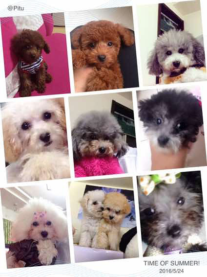 ����̩�ϳ������¼�