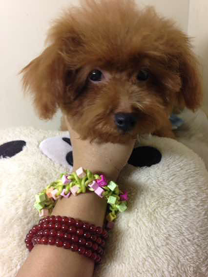 ����̩�ϳ������¼�