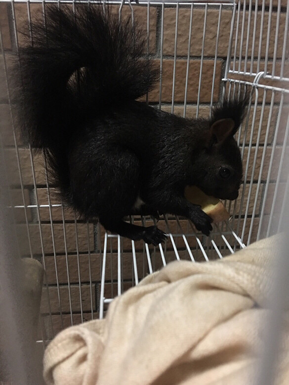 ���������˯��