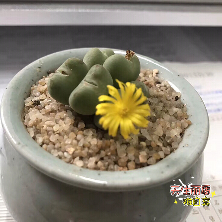 �ҵ�ƨ�ɶ������ˣ�������ѽ