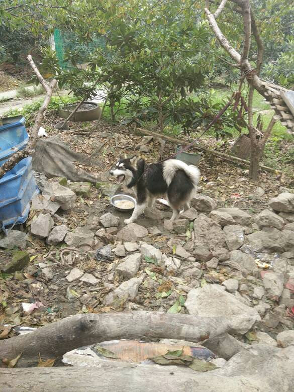 �������ˣ���˭Ҫ����